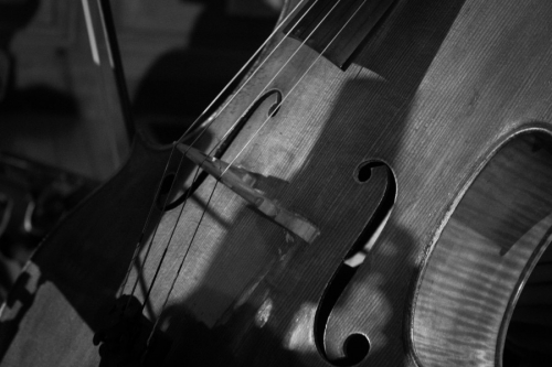 violoncelle - CIMCL 2024 - CrÃ©dit photo Laurine Laurent